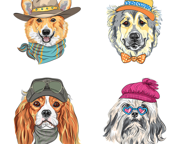 Kviz o pasminama pasa –